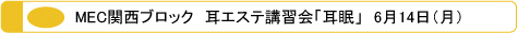 MEC メック 関西ブロック　耳エステ講習会「耳眠」（みみみん）