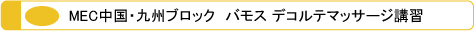 メック MEC 中国・九州ブロック デコルテマッサージ講習会　日本メンズサロンエステティック協会