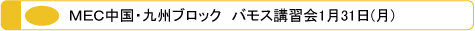 メック MEC 中国・九州ブロック フェイス スチレッチ　日本メンズサロンエステティック協会