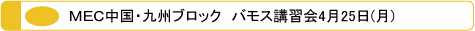 メック MEC 中国・九州ブロック 2010年度　ヘッドケア　日本メンズサロンエステティック協会